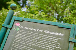 Floratal, Roseninsel, Perle von Weißenstein, UNESCO Welterbe Bergpark Wilhelmshöhe, Bergpark Wilhelmshöhe, Rosen